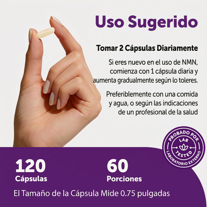 Microingredients® NMN Advanced (120 Cápsulas) | Renueva tus Células y Belleza