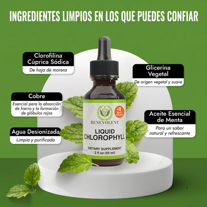 Benevolent® Clorofila Líquida (60mL) | Desintoxica tu Cuerpo y Desinflama tu Abdomen