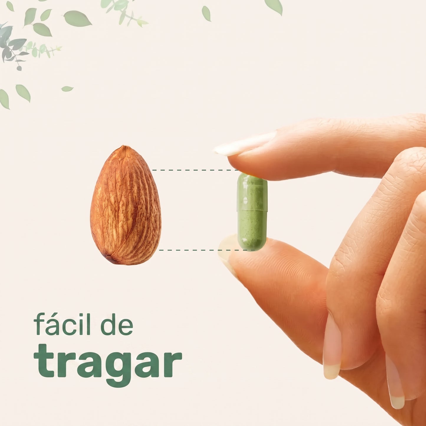 Microingredients® Moringa 5 en 1 (120 Cápsulas) | Frena la Inflamación y el Cortisol