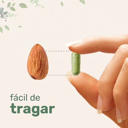 Microingredients® Moringa 5 en 1 (120 Cápsulas) | Frena la Inflamación y el Cortisol