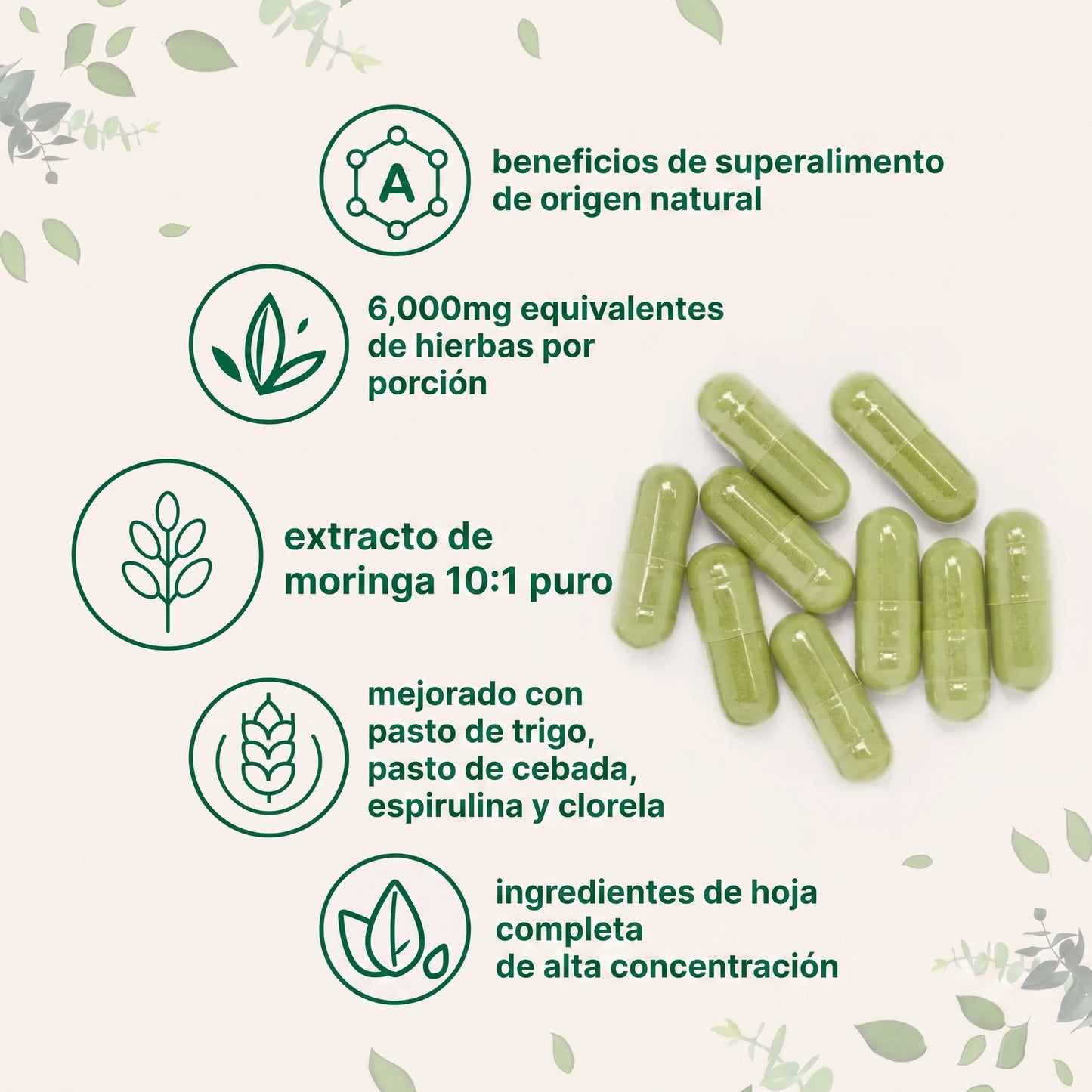 Microingredients® Moringa 5 en 1 (120 Cápsulas) | Frena la Inflamación y el Cortisol