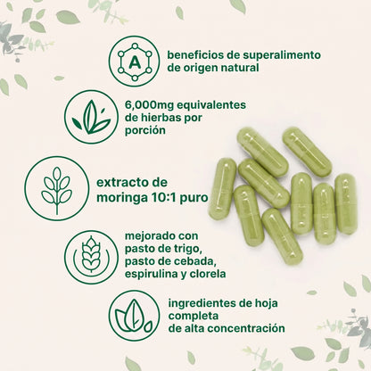 Microingredients® Moringa 5 en 1 (120 Cápsulas) | Frena la Inflamación y el Cortisol