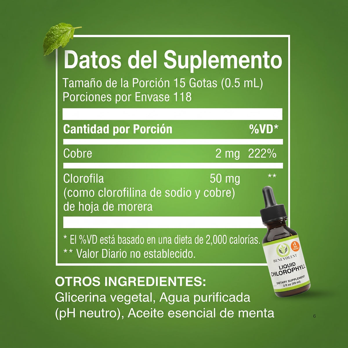 Benevolent® Clorofila Líquida (60mL) | Desintoxica tu Cuerpo y Desinflama tu Abdomen