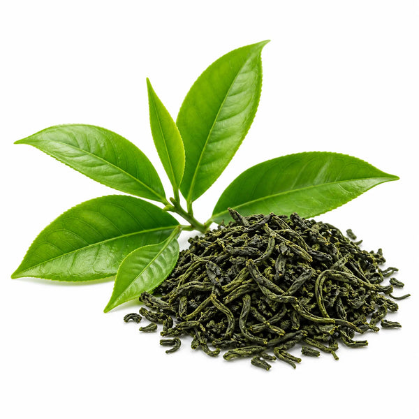 Té Verde